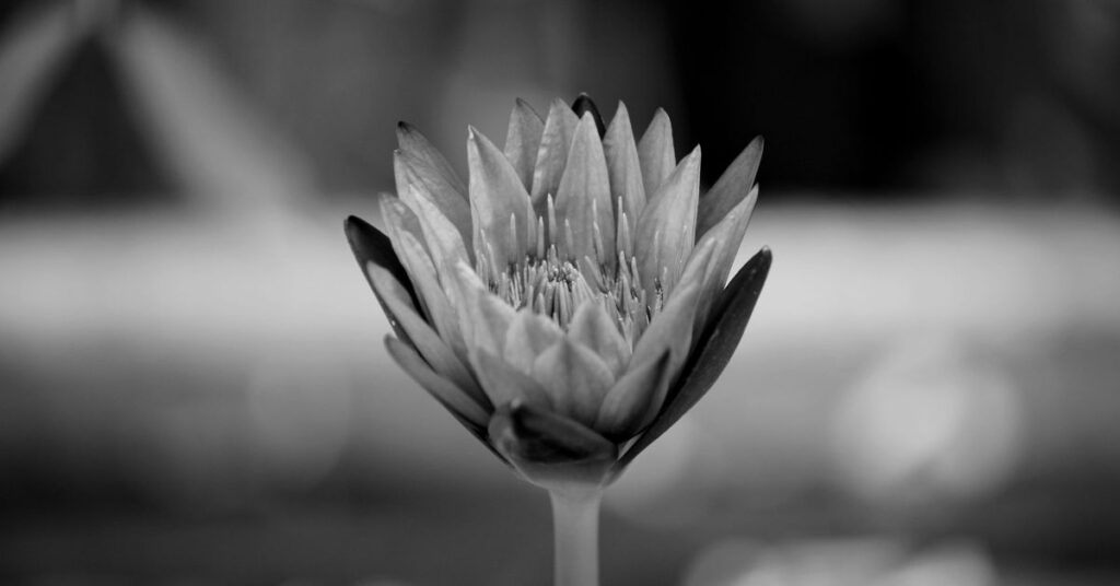 Chic monochrome outfit styled with layered black, white, and gray tones.